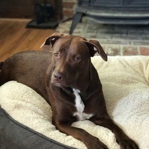 Meet your Posher, Tara